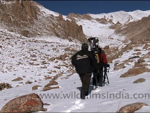 Trekking in Ladakh