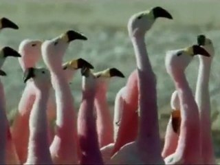 N_abandonne Surtout Pas...! (À regarder tous les jours!) pour une vie positive