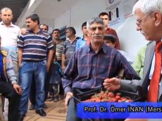Çilek Üreticisinden Basbakan'a Teşekkür...