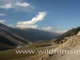 River Indus in Ladakh