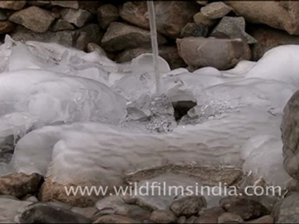 Iced over in Ladakh!