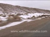 Travelling in Ladakh