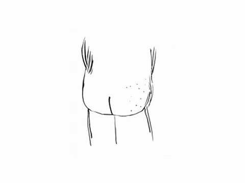 Butts - Mike Mills