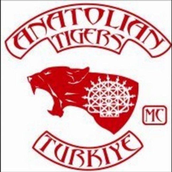 Anatolian Tigers2