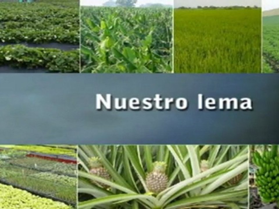 Insumos agricolas "Talex SAS"