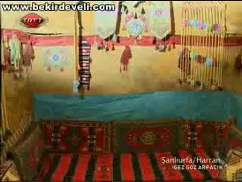 Bekir Develi - Gez Göz Arpacık - Şanlıurfa / Harran-2