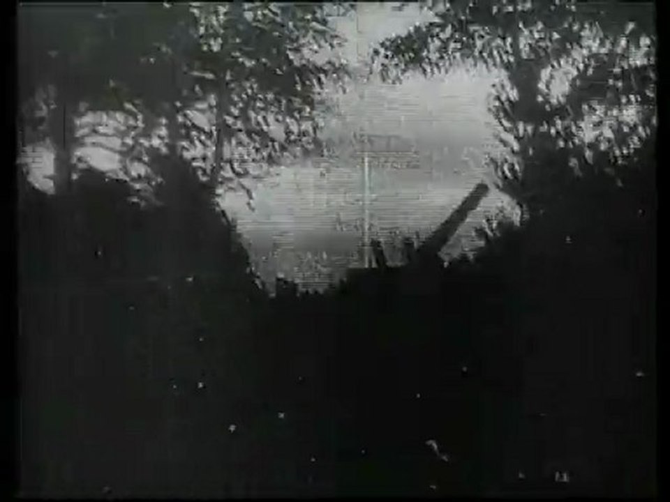 Seconde Guerre Mondiale L'Histoire secrete des Waffen SS