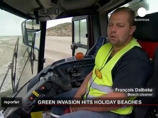 When too much green is not green at all