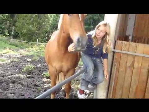 Travail monté et a pied