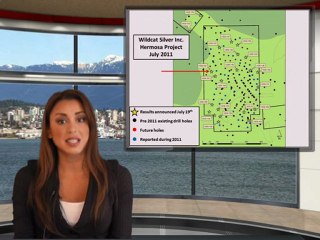 Wildcat Silver Corp. (TSX: WS) News Alert