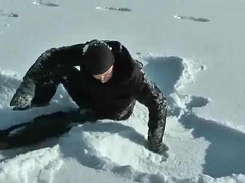 Global Warming Caused by Norwegian Ferret