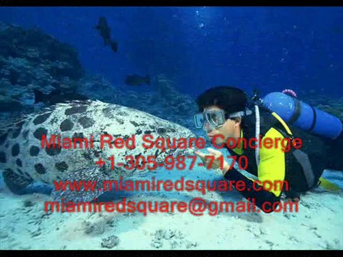 МАЙАМИ RED SQUARE КОНСЬЕРЖ - СПОРТИВНЫЙ ОТДЫХ И МЕРОПРИЯТИЯ.