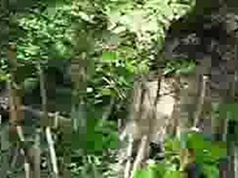 From far far far away...