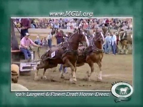 2011 Michigan Great Lakes International - Action Packed!