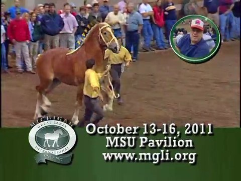 2011 Michigan Great Lakes International - Testimonials