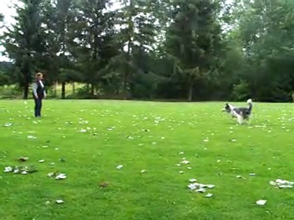 entrainement obé Capone: la rapport d'objet