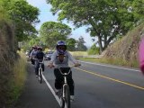 Maui Downhill Bike Ride: Maui's Ultimate Sunrise!