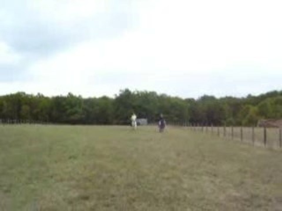 Course