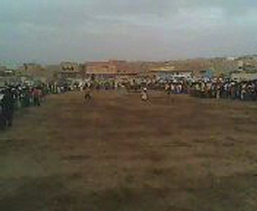 ضرب االبارود على الفرس 3