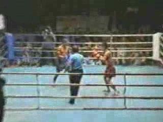 Dick Protect: Safeguarding Your Privacy