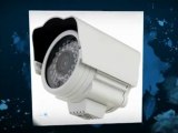 Options for IP Network Camera Systems