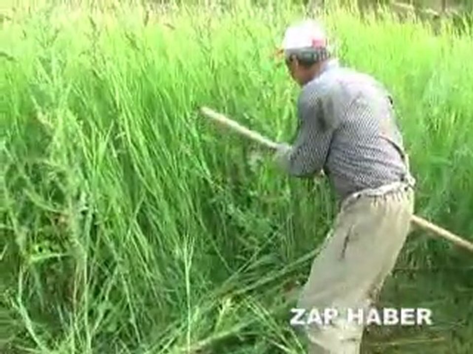 Hakkari’de köylüler kış hazırlığına başladı