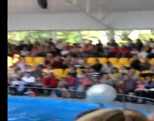 Дельфинарий  в  Донецке