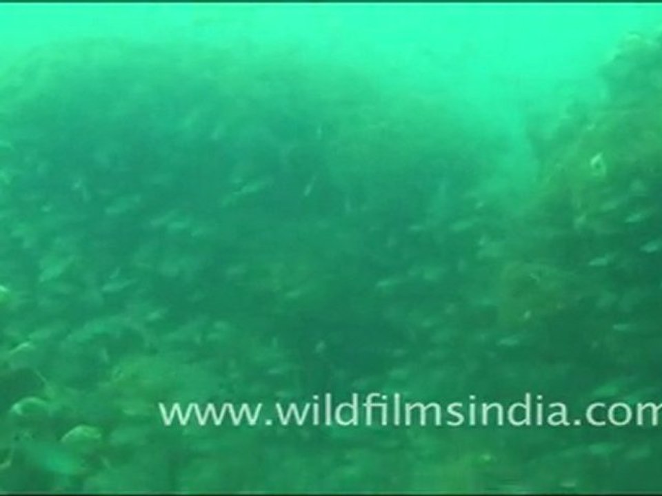 Under water