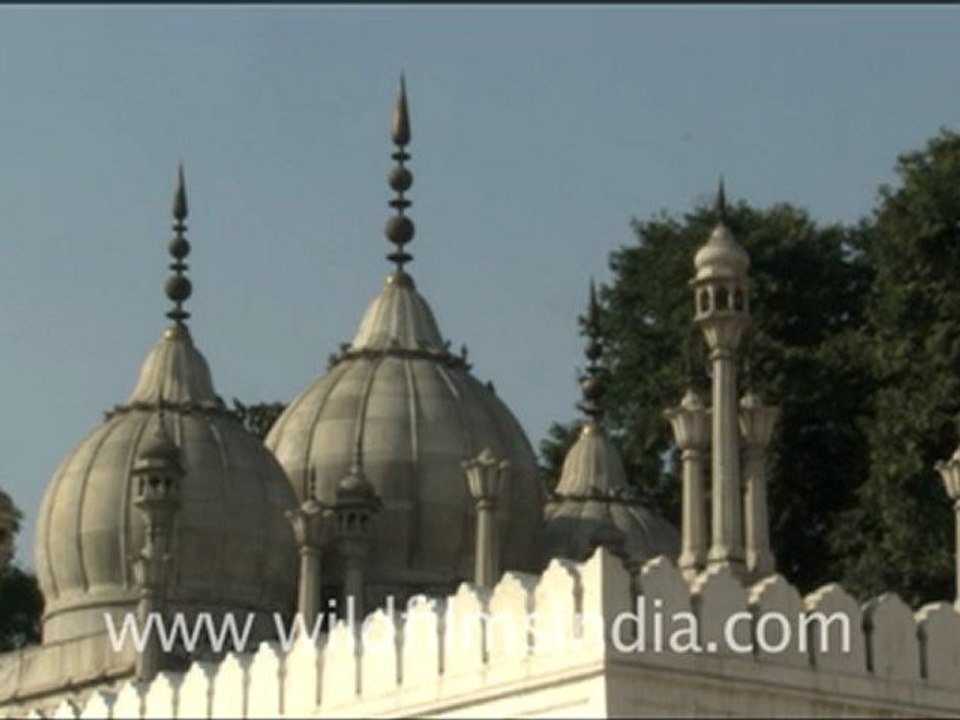 Sariska_HDC_45_5
