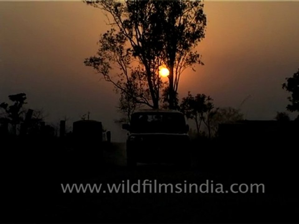 Jeep Safari