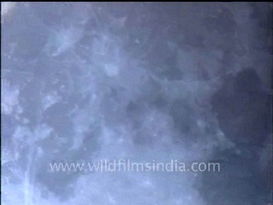 Moon up close, with craters!