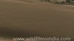Khuri Sand Dunes Near Jaisalmer