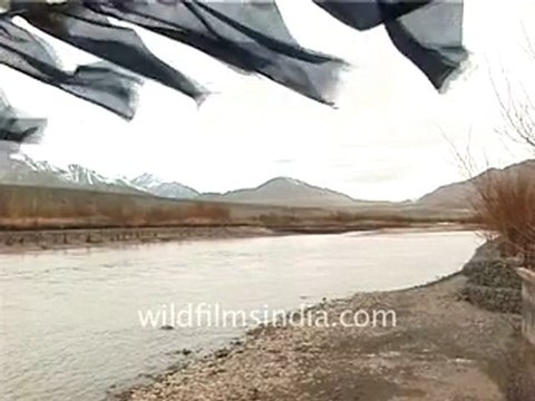 Ladakh rocky landscapes