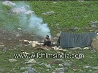 Shepherd Cooking at his tent on a Himalayan Meadow