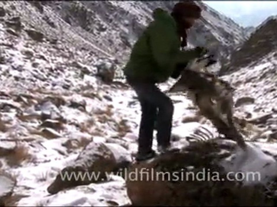 Ladakh