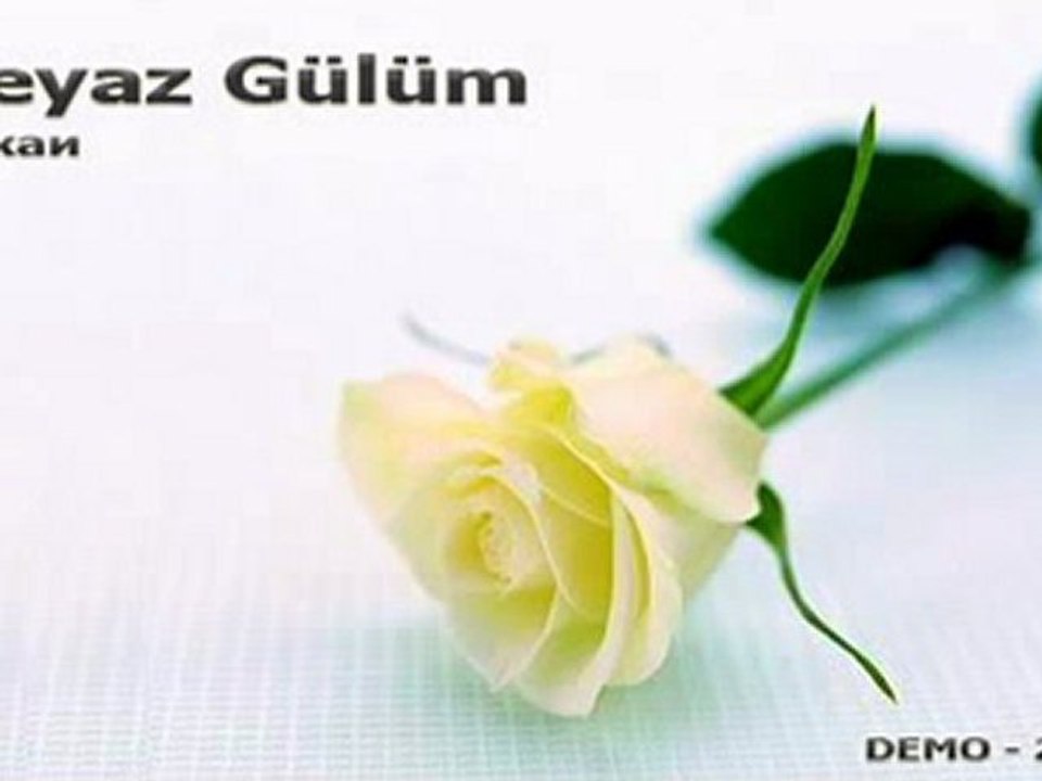 Beyaz Gülüm