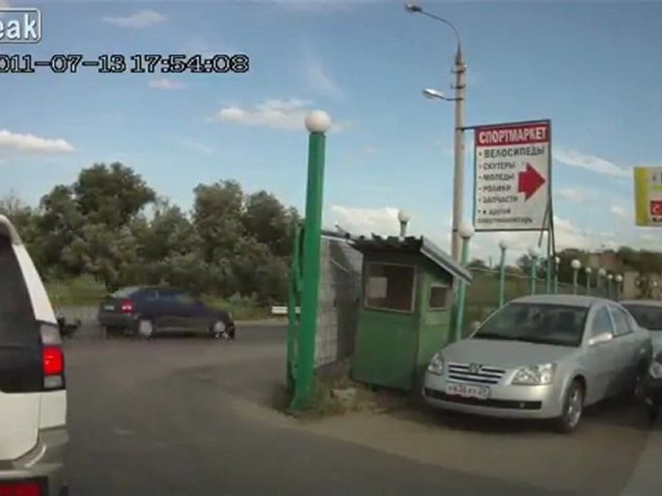 Dadgum Daft Dog Gets niedergemäht Und Lives seinen Schwanz Weiterempfehlen