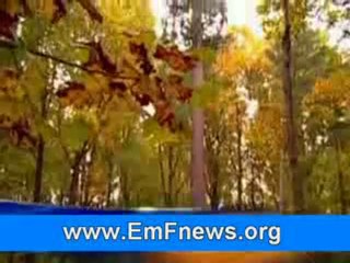 Wi-Fi Danger in School: Real or Imagined?