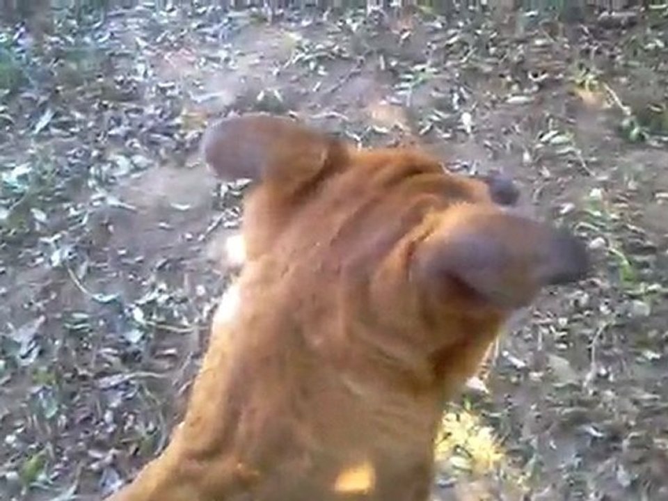 video-2011-03-27-10-41-44