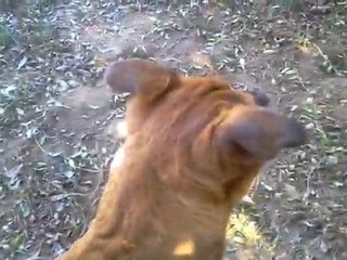 video-2011-03-27-10-41-44