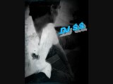 Dj S.S. - Party People