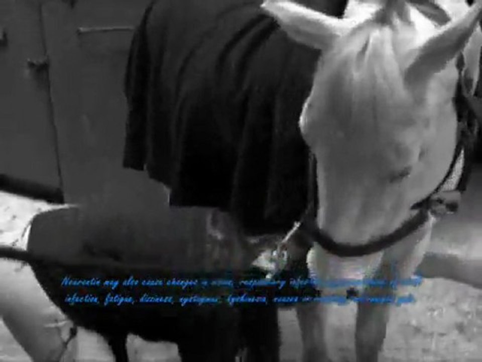 Purchase Anti Convulsants drugs, Buy Neurontin cheap generic