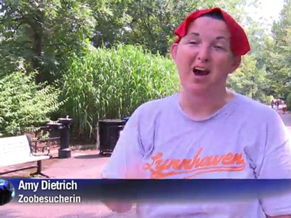 Affenhitze in den USA: Ab in den Zoo