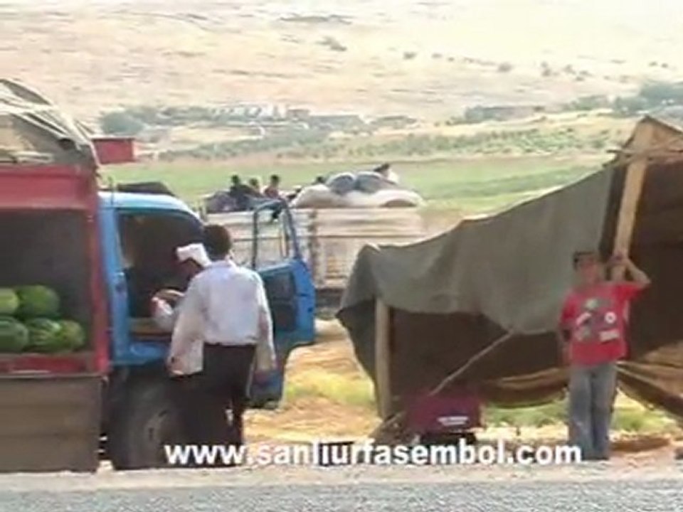 Tarım İşçileri