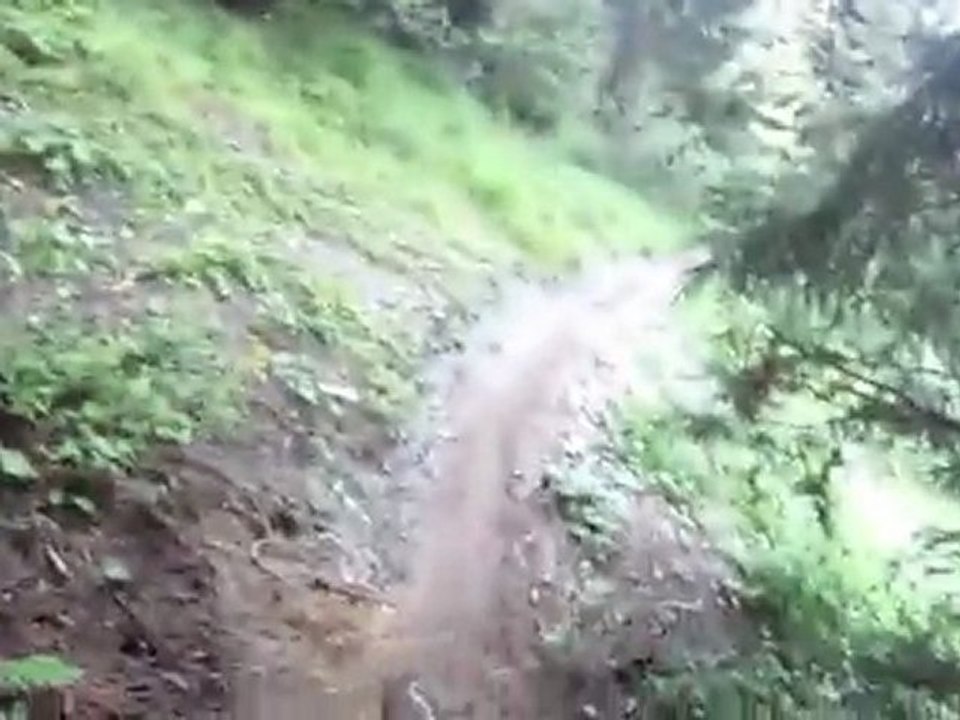 VTT Châtel Juillet 2011