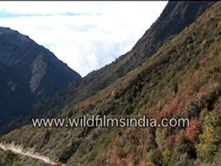 Sikkim fall colours