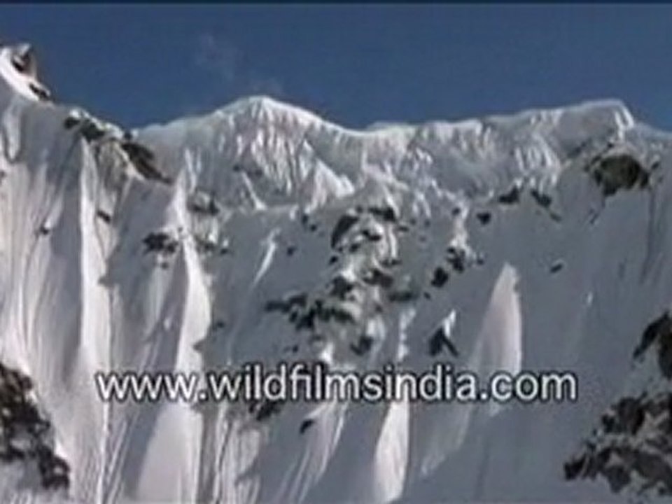 Journey to Alaska