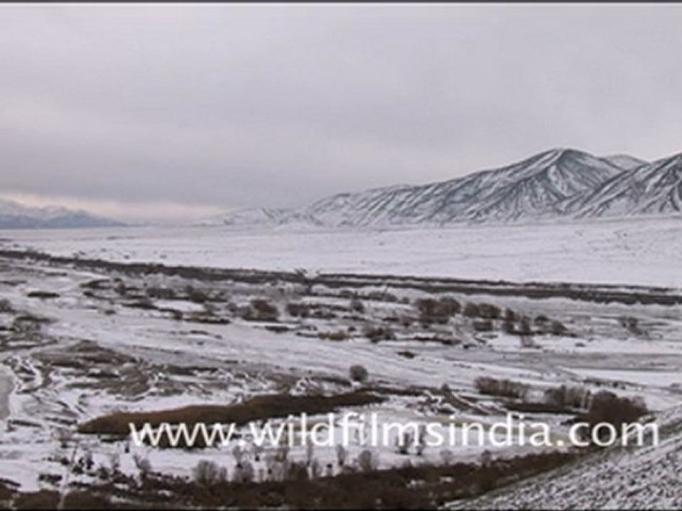 Snow covered mountain ranges, Ladakh