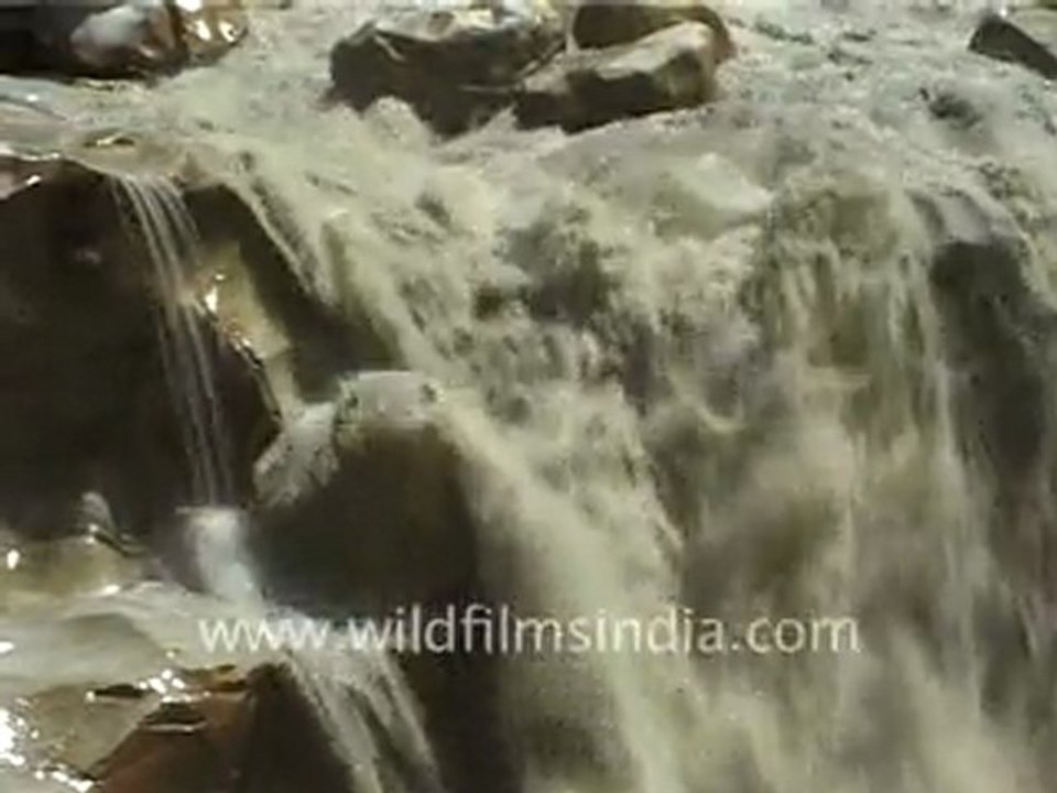 Gangotri
