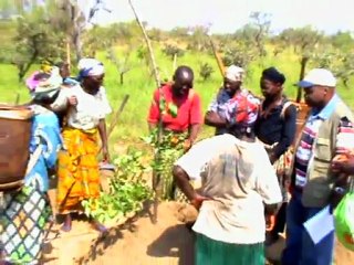 PRODER-NORD/FIDA : Introduction_Participative des Nouvelles_Variétés_d'Igname du Bénin au Congo_Brazzaville